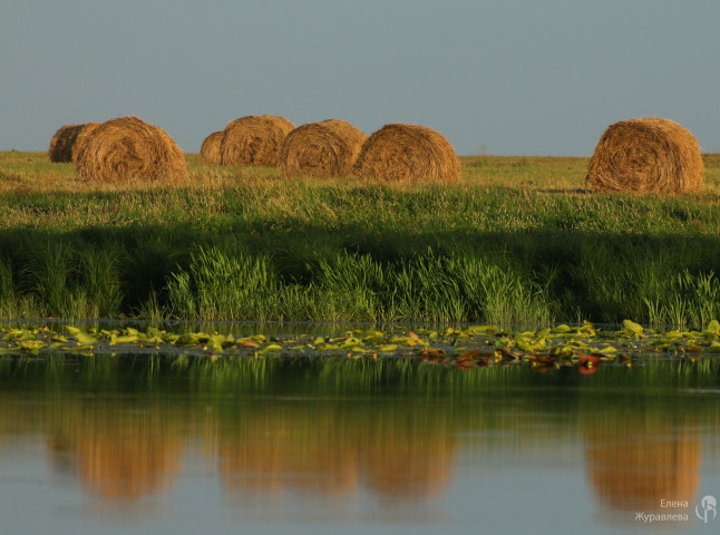 Время сенокоса