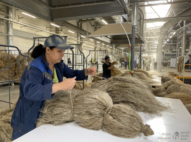 Сортировка льноволокна