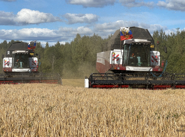 Уборка ярового ячменя