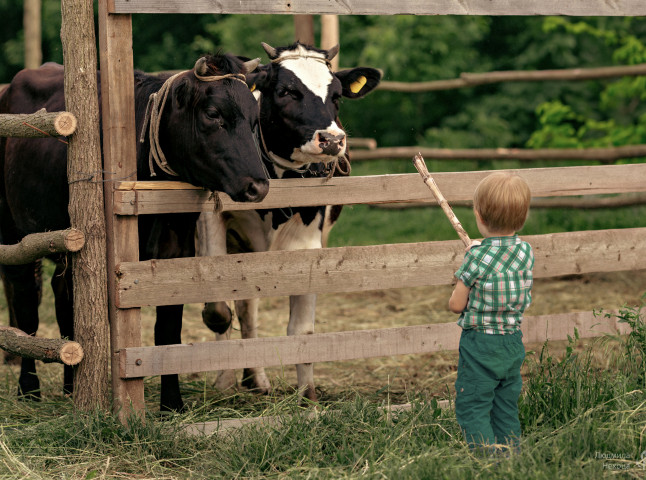 Хорошо в деревне летом