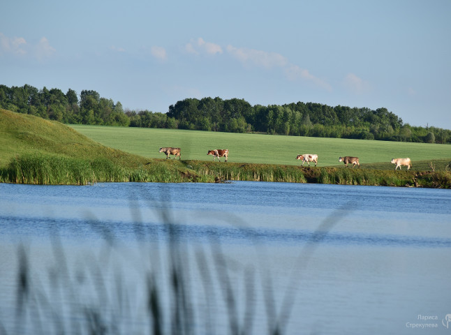 Возвращаясь домой...