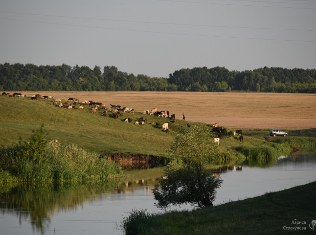 Возвращаясь домой...