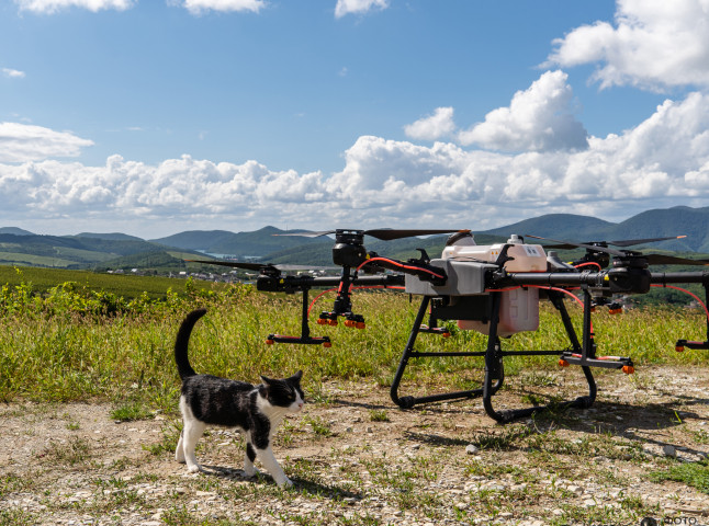 Опрыскивание