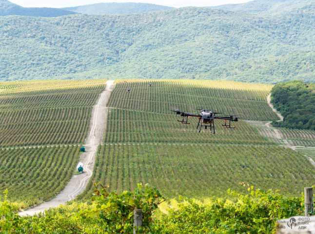 Опрыскивание