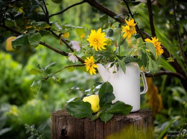 Золотой урожай