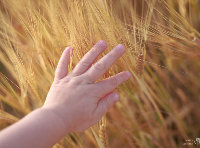 Сохраняя прошлое, возделываем будущее