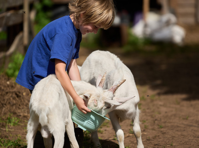 Обед привезли