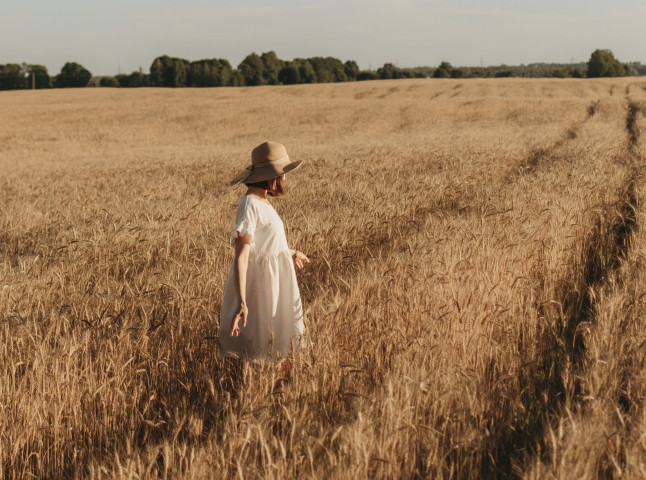 Золотой урожай