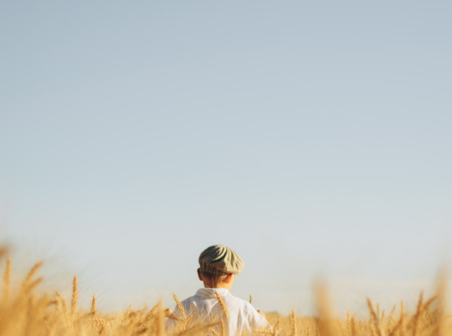 Золотой урожай