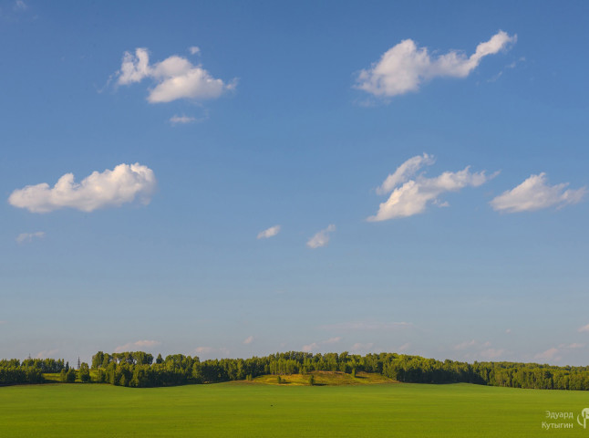 Озимые поля