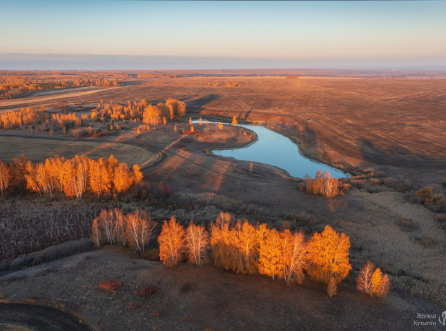 Осенние поля
