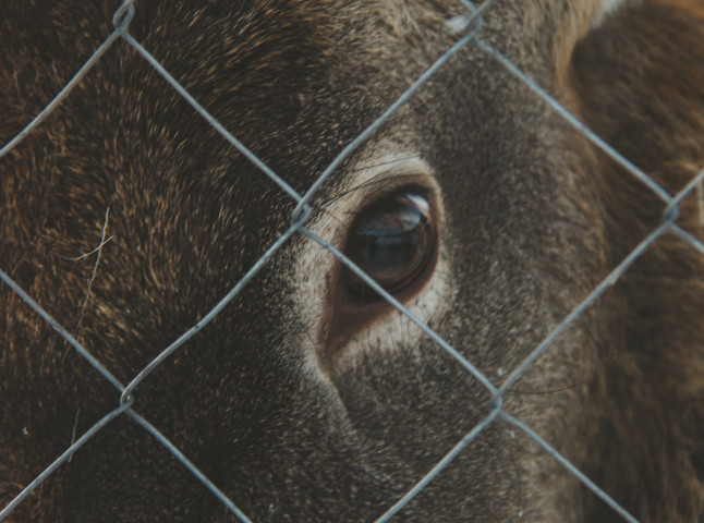 В сердце природы